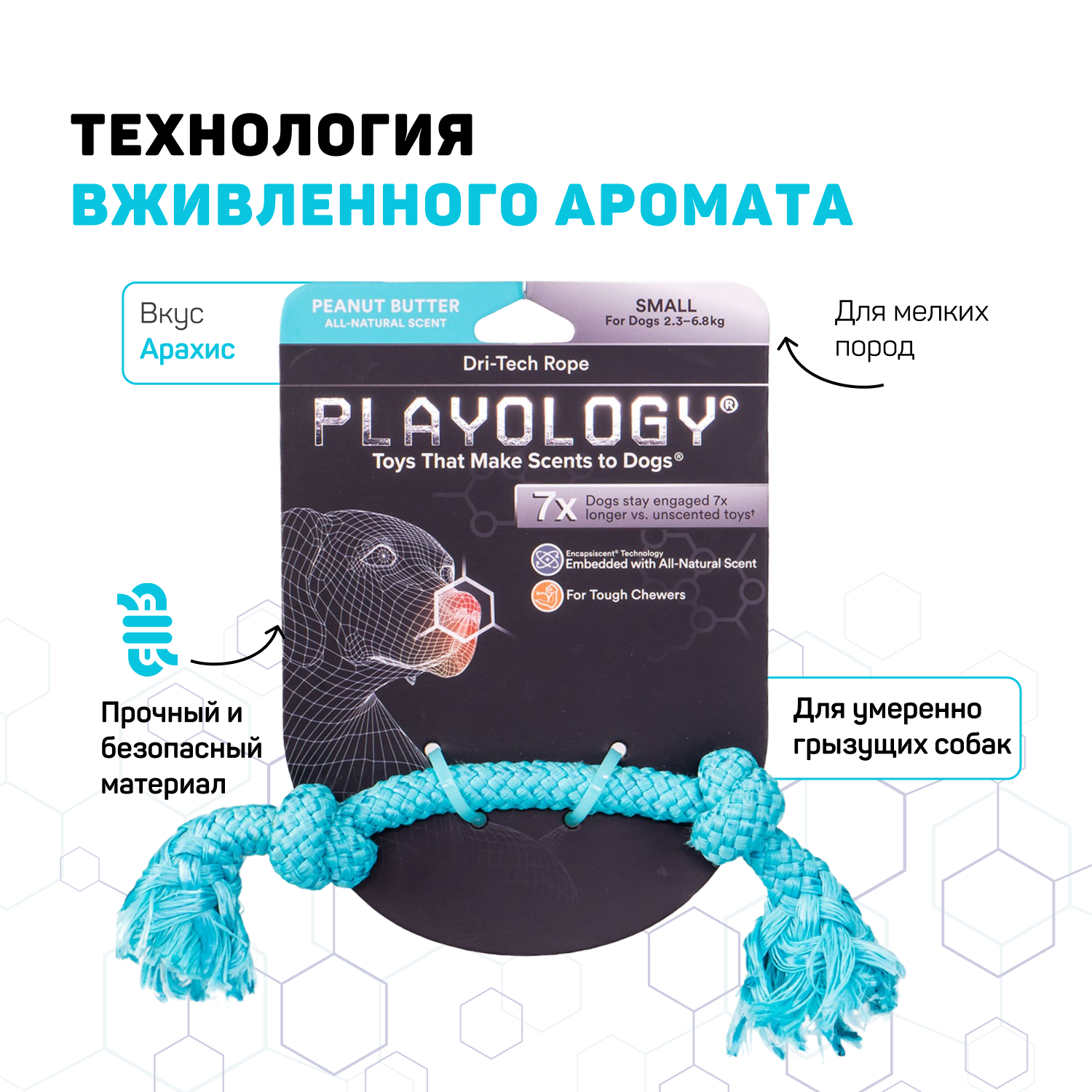 Игрушка Playology, Жевательный канат для собак мелких пород, голубой